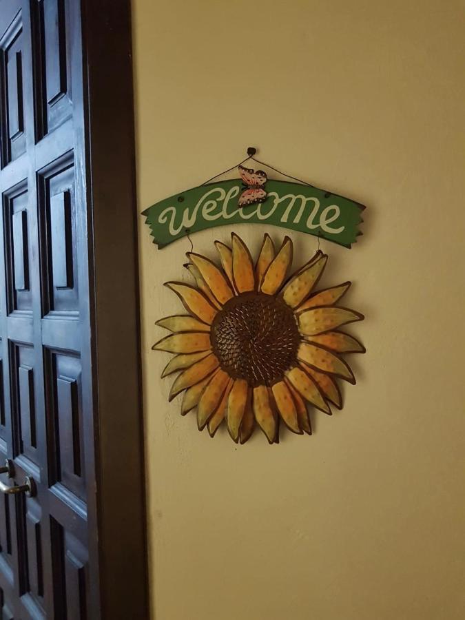 Appartamento Il Girasole Storico Pitigliano Esterno foto